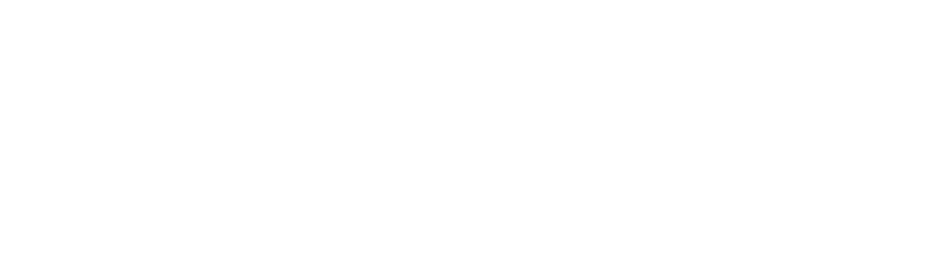 Arizer History Graphic